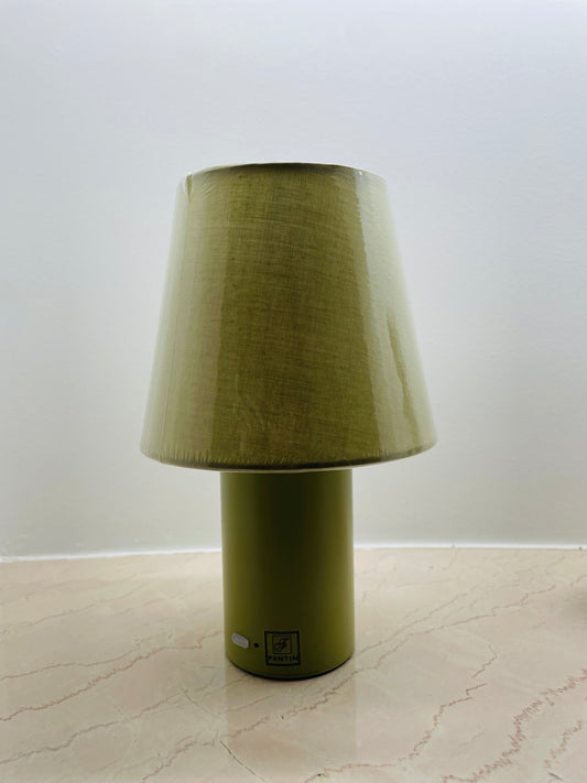 Fantin Argenti lampada led in metallo luce variabile (verde)